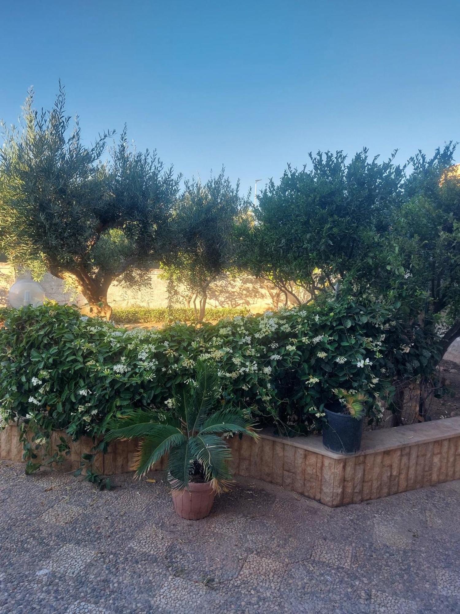 Alcantara Suites Trapani Exteriér fotografie